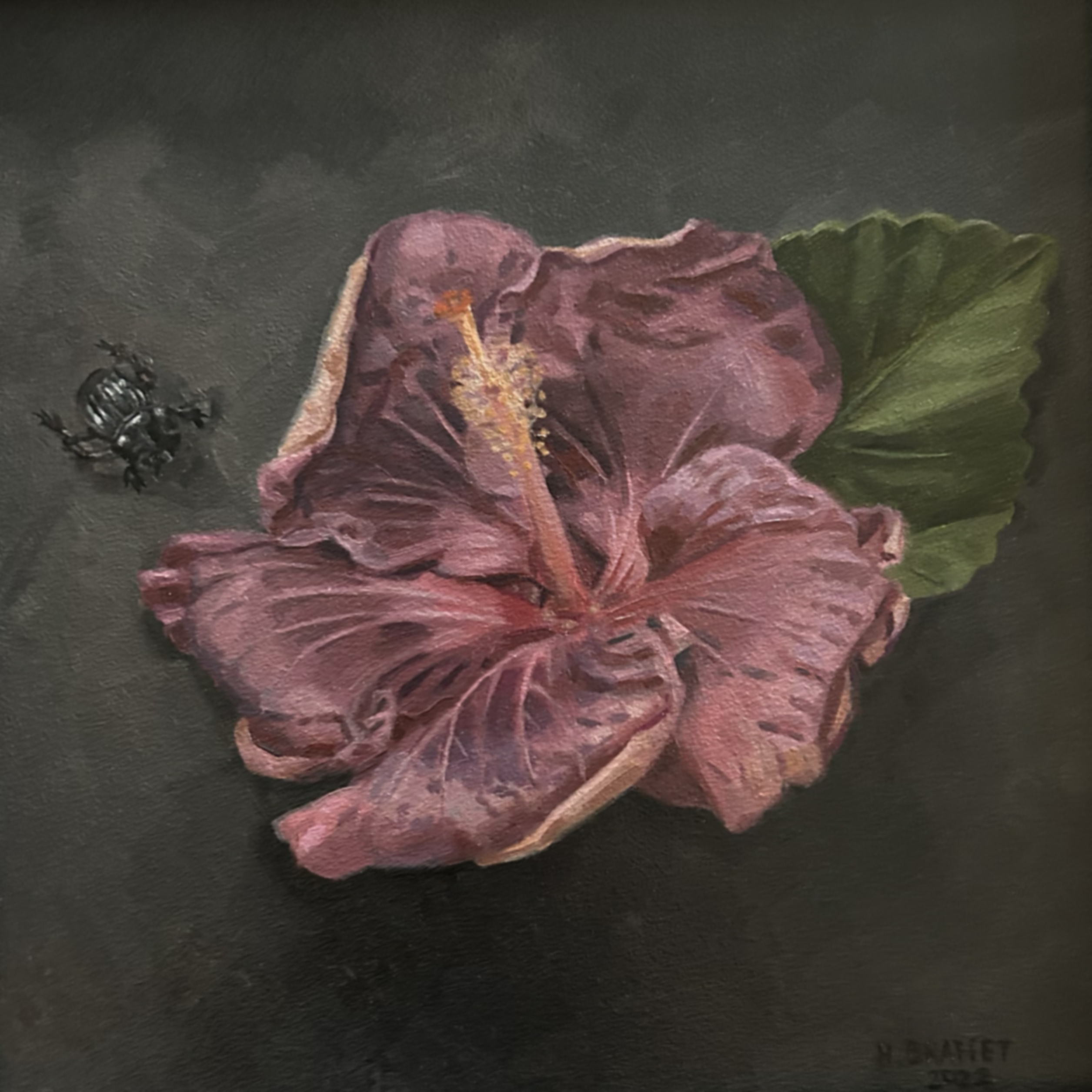 Hibiscus and Beetle