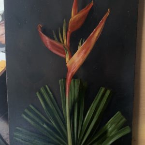 Heliconia