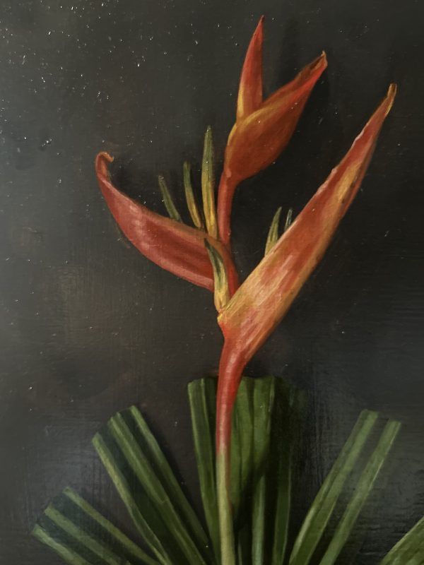 Heliconia - Image 2