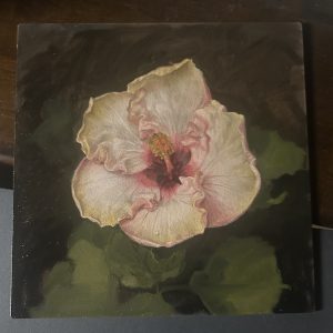 'Angel wings' hibiscus