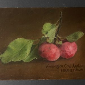 Washington Crab Apples