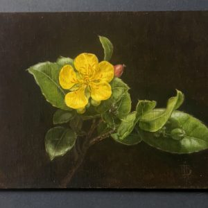 Bannerman Park flower